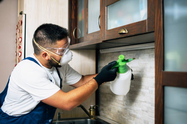 Best Wasp Removal Services  in Santa Fe, NM