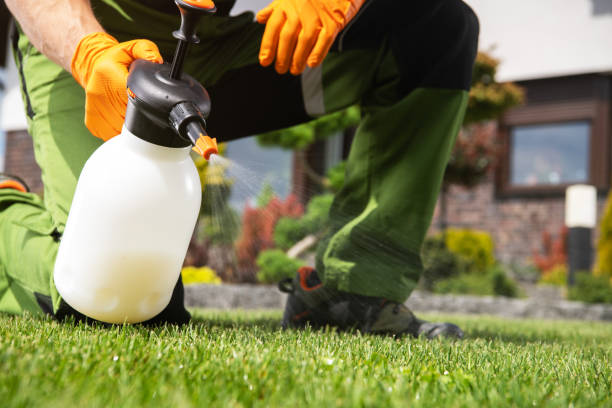 Best Residential Pest Control  in Santa Fe, NM