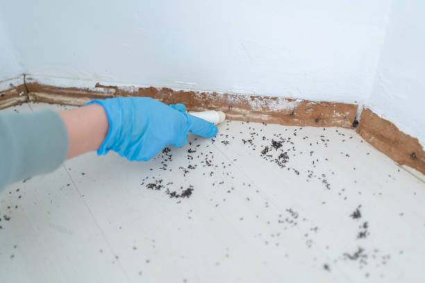 Best Bed Bug Extermination  in Santa Fe, NM