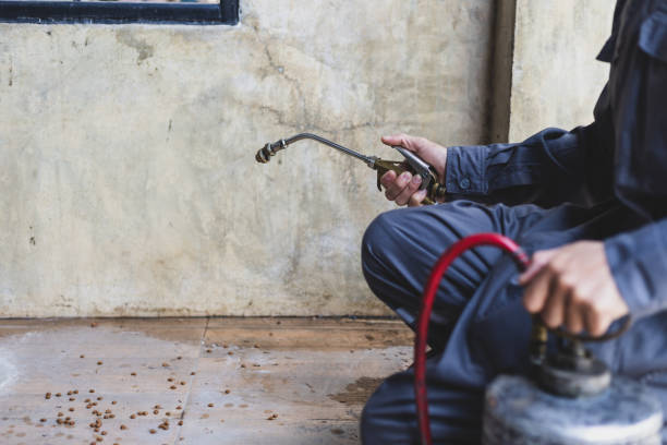 Best Best Pest Control Companies  in Santa Fe, NM